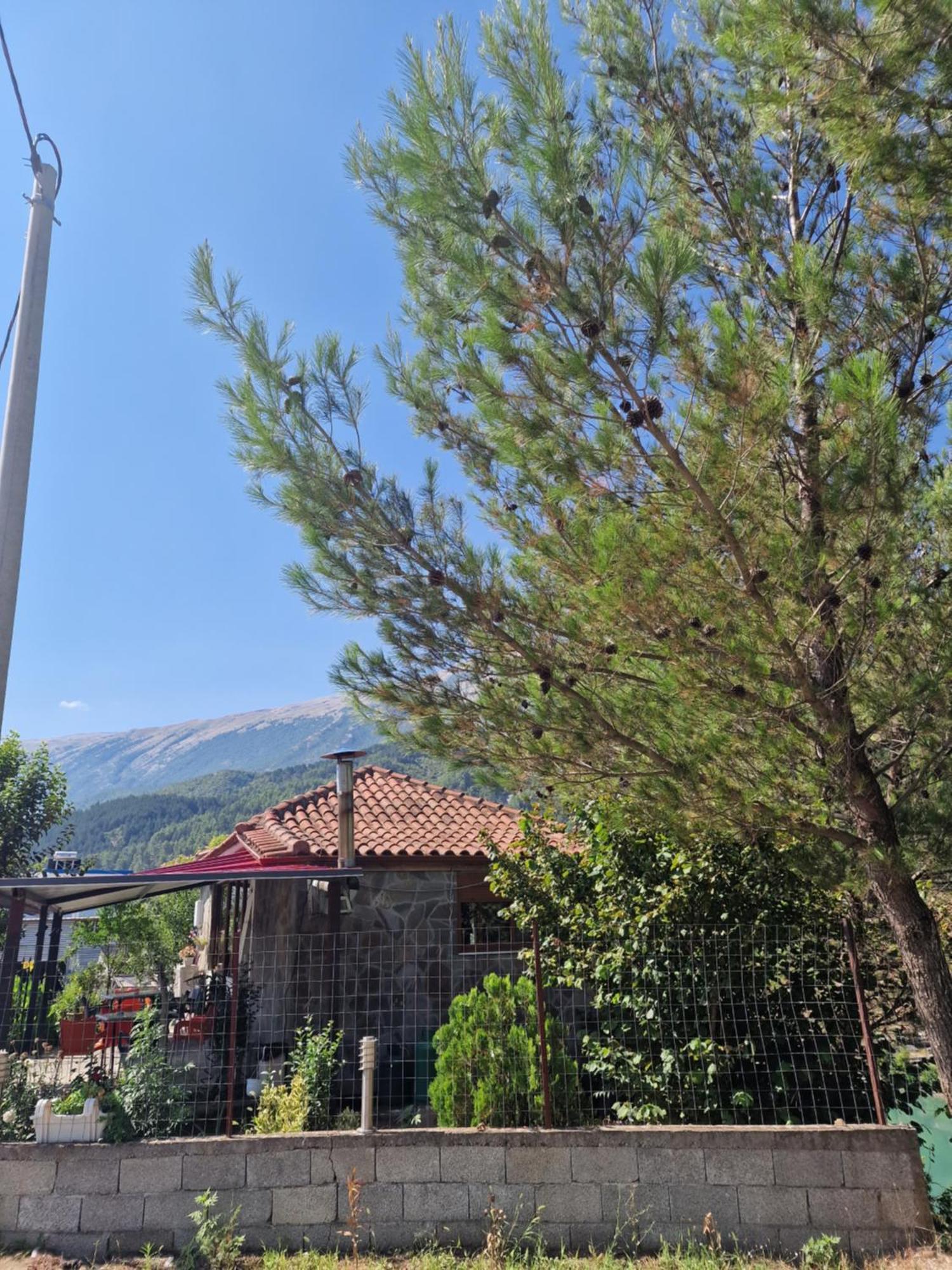 Guest House Krishen Përmet المظهر الخارجي الصورة